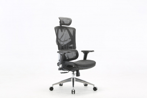 Офисное кресло Office Chair SIHOO M90C-401 BLACK 3D Armrest, class 3 TUV gaslift,350mm aluminuim base Офисное кресло Office Chair SIHOO M90C-401 BLACK 3D Armrest, class 3 TUV gaslift,350mm aluminuim base
