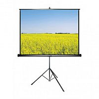 Экран для проектора ANC Tripod Screen T240X240